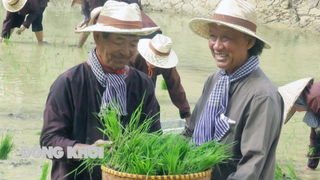 Bến Tre: Cựu chiến binh với câu chuyện “lá phổi xanh”