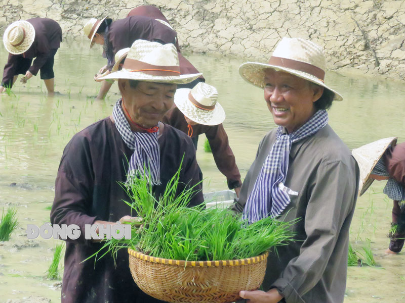 Bến Tre: Cựu chiến binh với câu chuyện “lá phổi xanh”