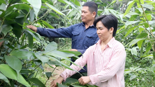 Hà Giang: Bứt phá giảm nghèo bền vững