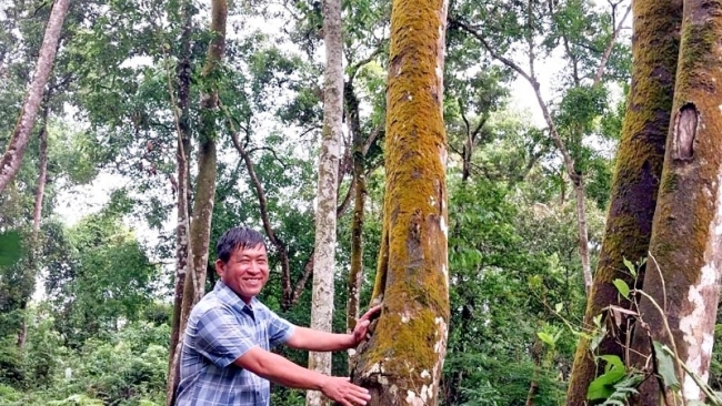 Hà Giang: Người Pà Thẻn giữ rừng đầu nguồn My Bắc