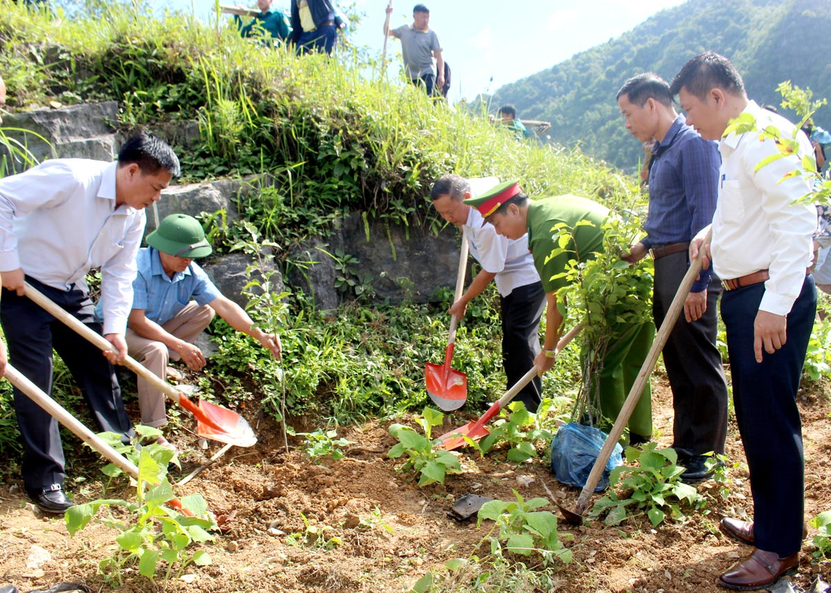 Cán bộ và nhân dân huyện ra quân trồng cây ăn quả thế mạnh là Lê, Mận.