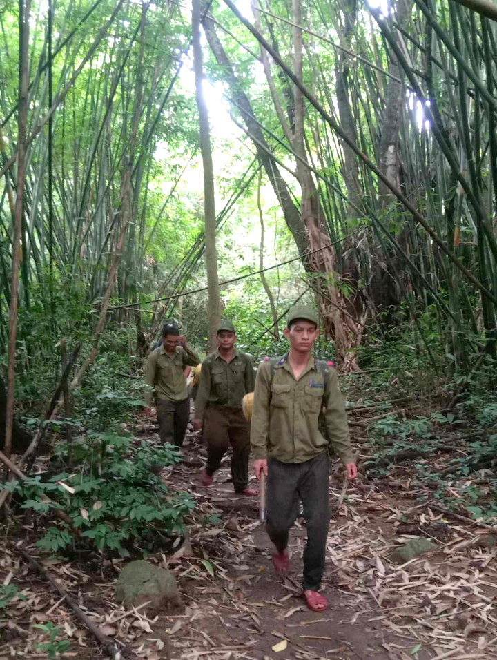 Lực lượng của Ban Quản lý rừng phòng hộ Nam Khánh Hòa và người dân nhận khoán bảo vệ rừng đi tuần tra ở xã Thành Sơn. Ảnh do đơn vị cung cấp