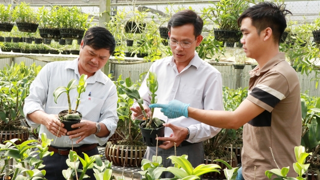 Lâm Đồng: Nhân rộng các mô hình nông nghiệp ứng dụng công nghệ cao