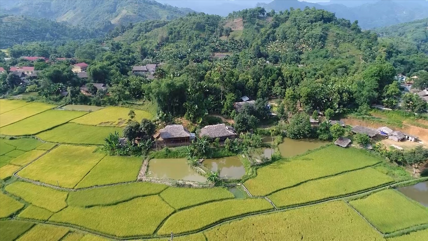 Việc bảo tồn nhà truyền thống có ý nghĩa quan trọng, góp phần "biến di sản thành tài sản" trong phát triển du lịch cộng đồng