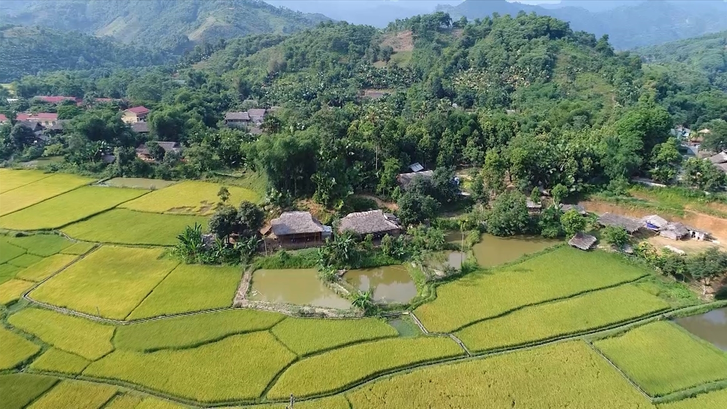 Lào Cai thực hiện thống kê, bảo tồn nhà truyền thống