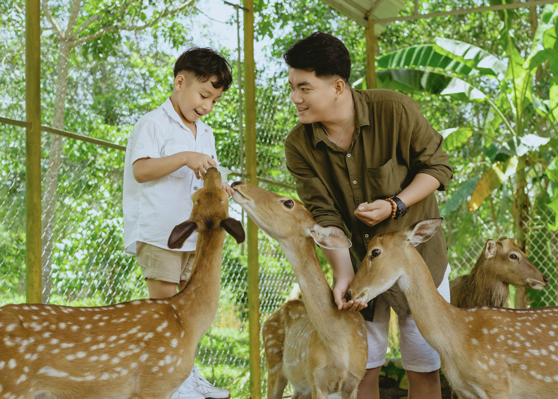 Làm quen với các loài vật tại Yang Bay