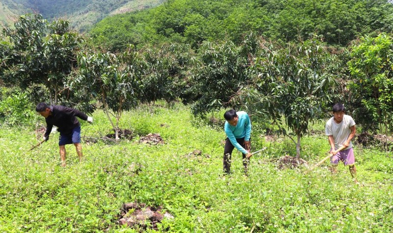 Lai Châu: Mang ấm no, hạnh phúc đến với nhân dân