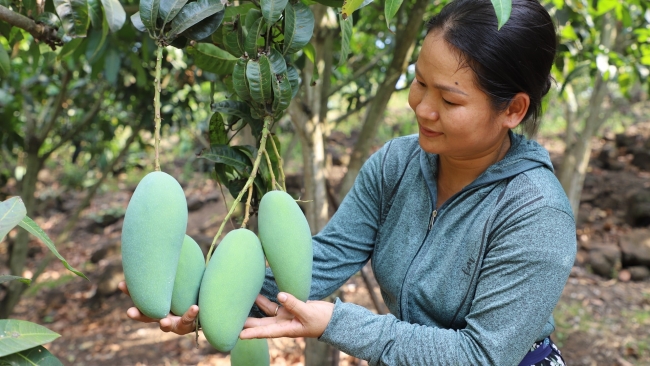 Lâm Đồng: Khám phá “Bản giao hưởng của Làn gió mới”