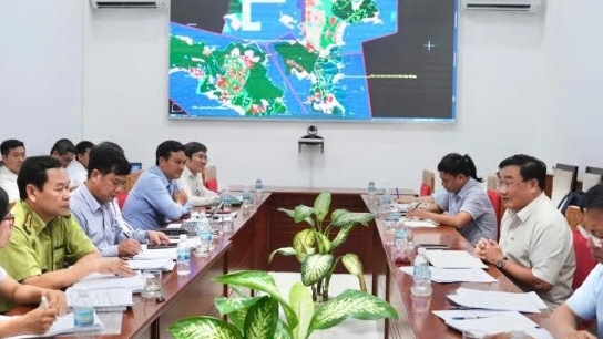Khánh Hòa: Rà soát lại các dự án trong Khu Kinh tế Vân Phong có liên quan đến đất rừng