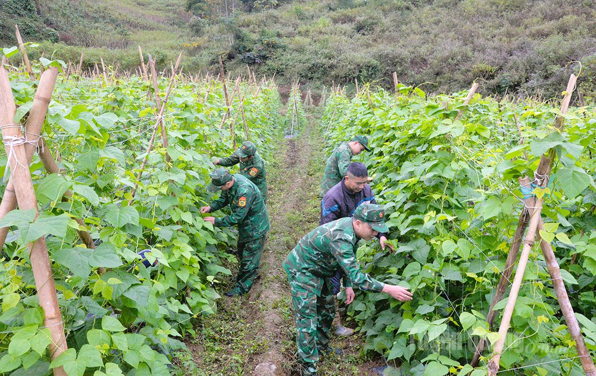Tuyên Quang: Vững vàng thế trận biên cương