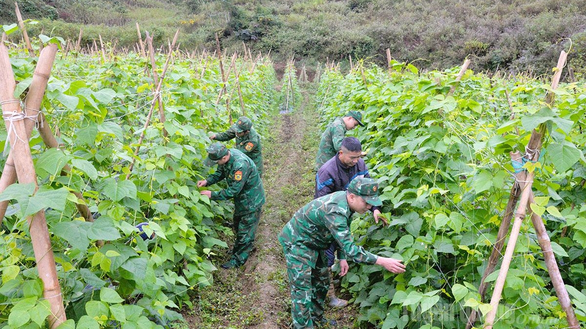Tuyên Quang: Vững vàng thế trận biên cương