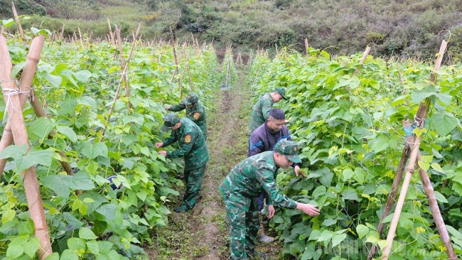 Tuyên Quang: Vững vàng thế trận biên cương