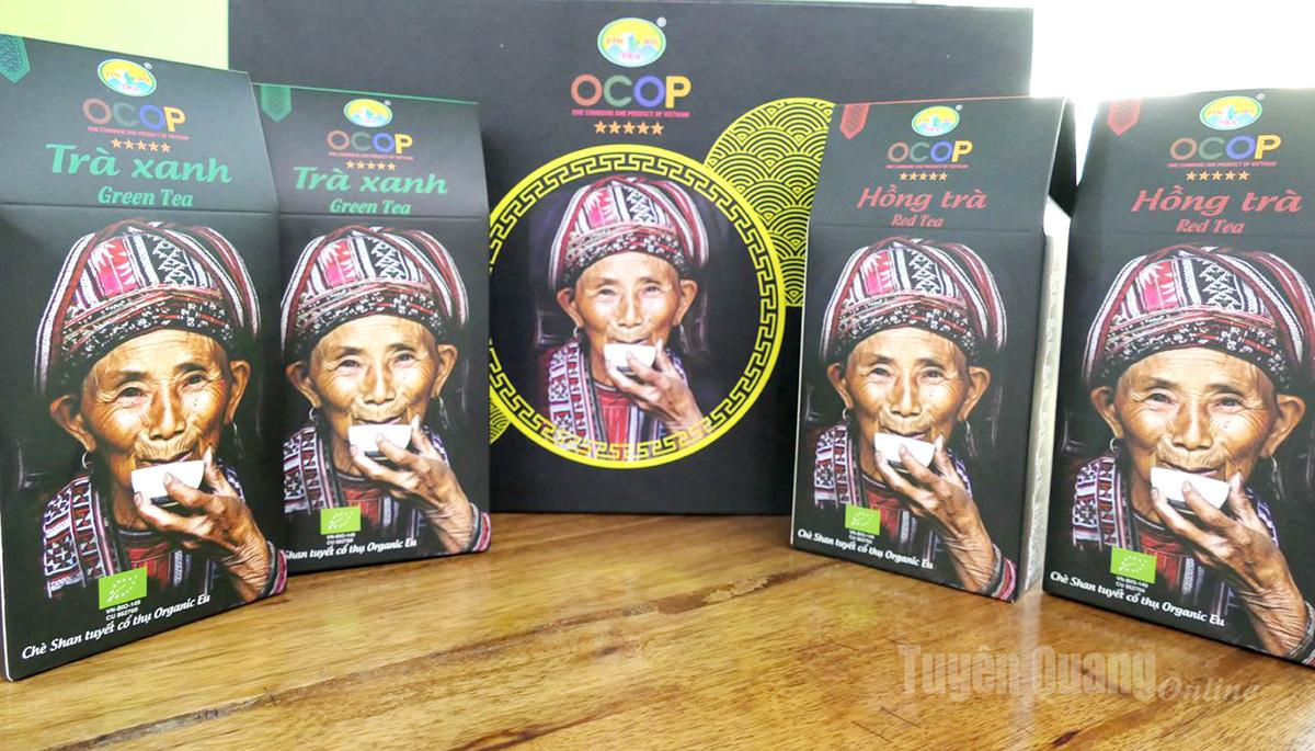 Tuyên Quang: “Vàng xanh” giữa đại ngàn Tây Côn Lĩnh
