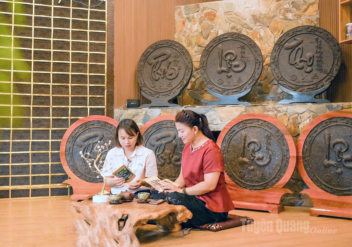 Tuyên Quang: “Vàng xanh” giữa đại ngàn Tây Côn Lĩnh