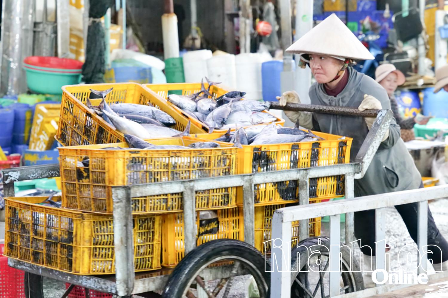 Khánh Hòa: Ứng dụng công nghệ số vào giám sát, truy xuất nguồn gốc thủy sản