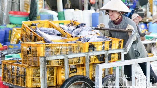 Khánh Hòa: Ứng dụng công nghệ số vào giám sát, truy xuất nguồn gốc thủy sản