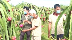 Lâm Đồng: Để đạt chỉ tiêu tăng trưởng ngành nông nghiệp