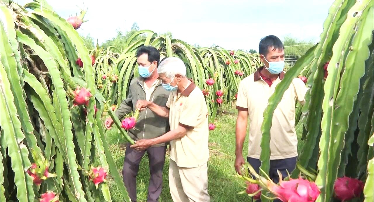 Lâm Đồng: Để đạt chỉ tiêu tăng trưởng ngành nông nghiệp