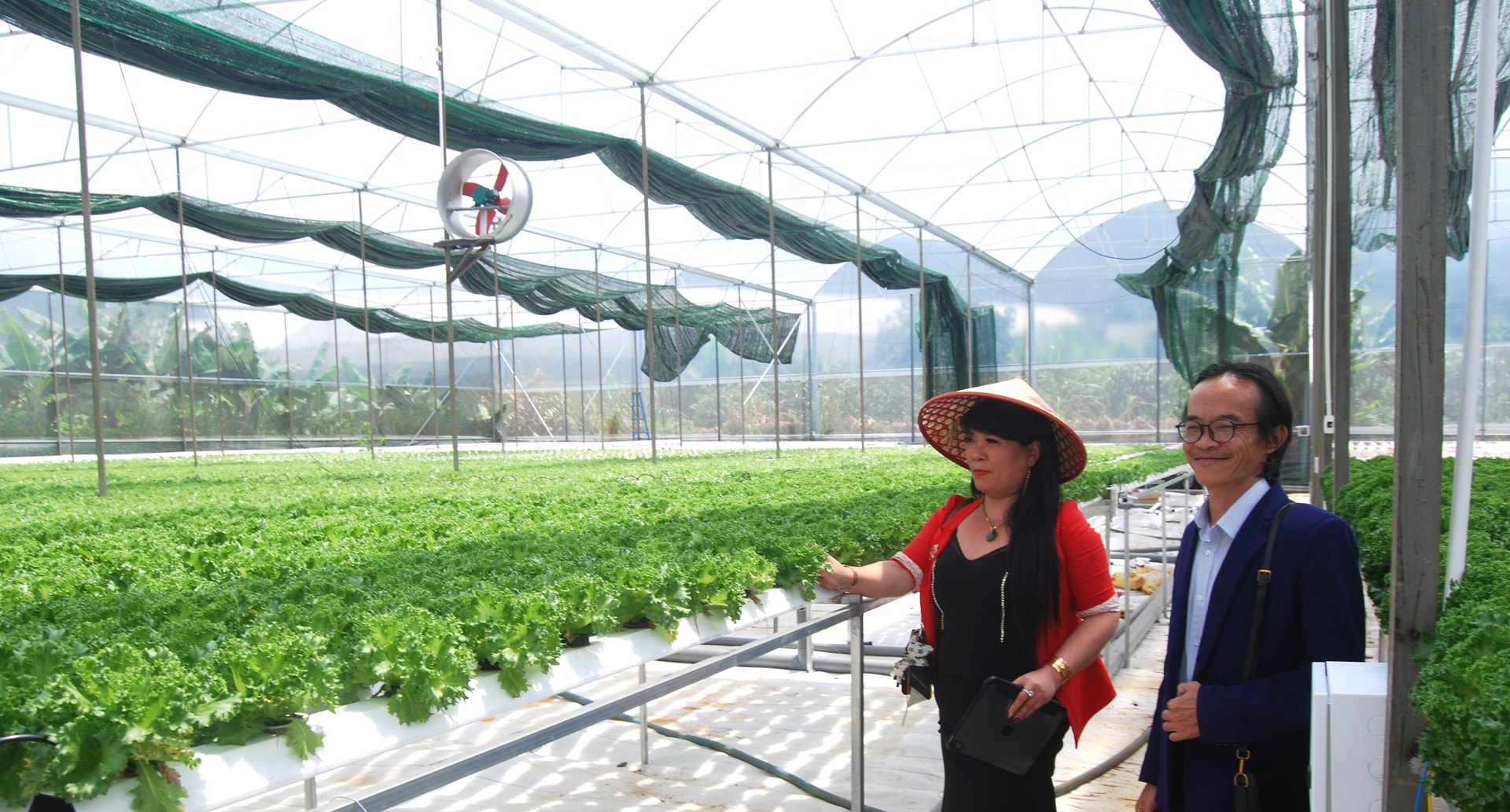 Lâm Đồng: Để đạt chỉ tiêu tăng trưởng ngành nông nghiệp