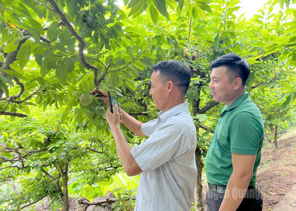 Tuyên Quang: Thôn thông minh Khuôn Thống