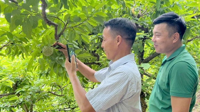 Tuyên Quang: Thôn thông minh Khuôn Thống