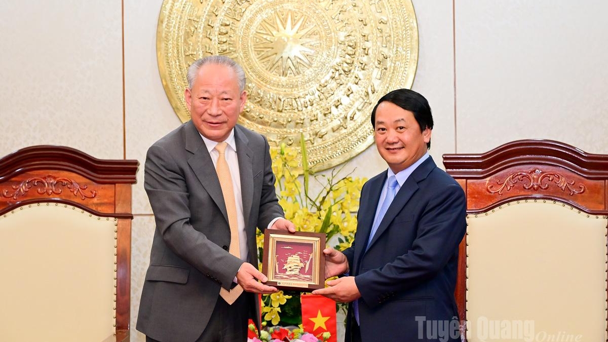 Tuyên Quang: Bí thư Tỉnh ủy Hầu A Lềnh tiếp, làm việc với Tập đoàn Xây dựng Thái Bình Dương, Trung Quốc