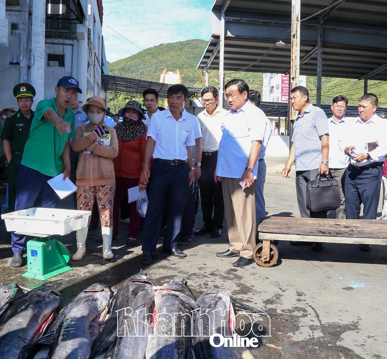 Khánh Hòa: Phó Chủ tịch UBND tỉnh Trịnh Minh Hoàng kiểm tra công tác chống khai thác IUU tại cảng Hòn Rớ