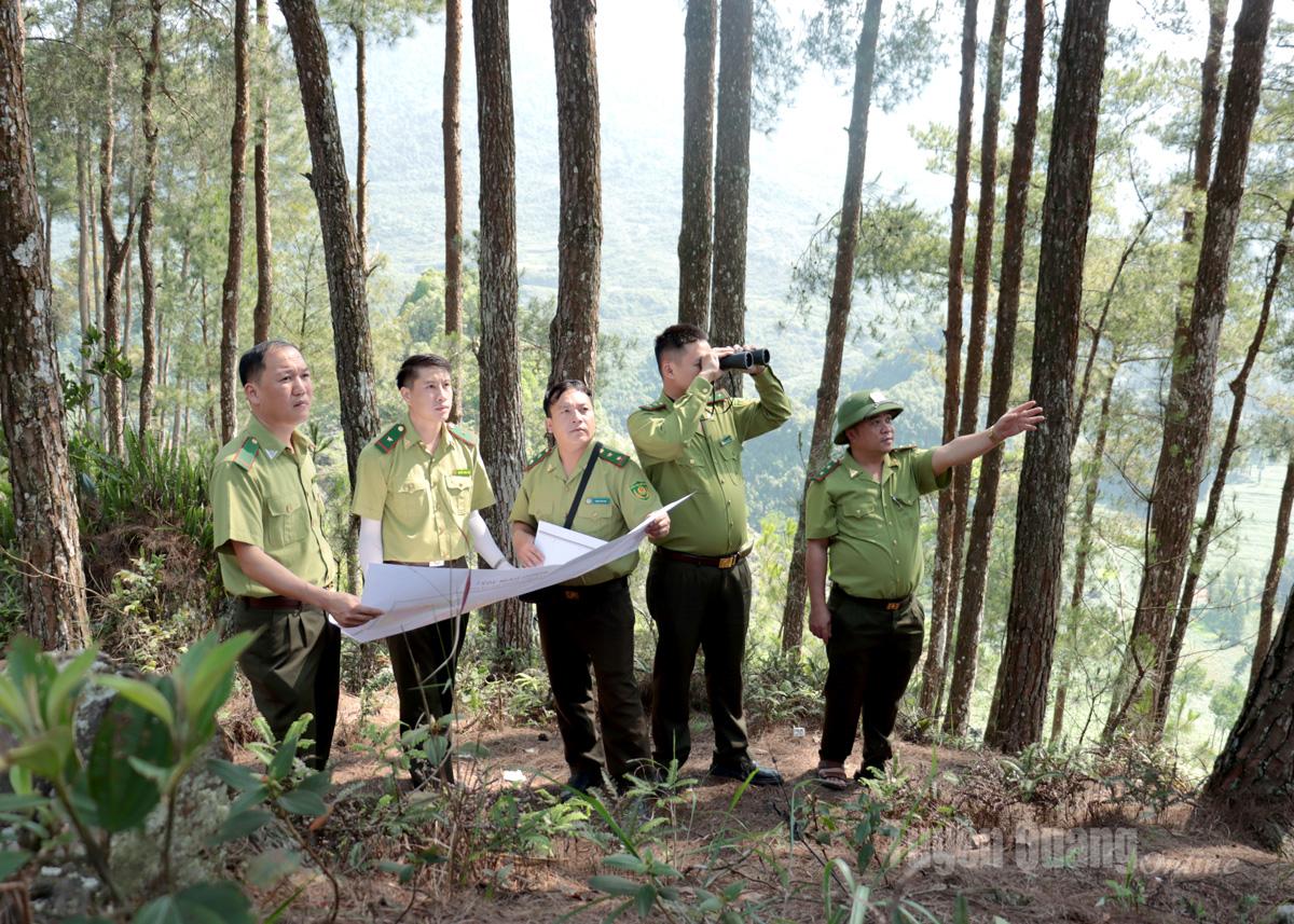 Tuyên Quang: Giữ màu xanh cho Khu bảo tồn thiên nhiên Chí Sán