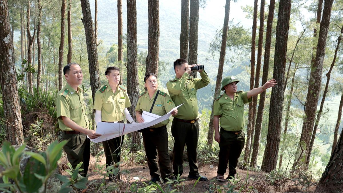 Tuyên Quang: Giữ màu xanh cho Khu bảo tồn thiên nhiên Chí Sán