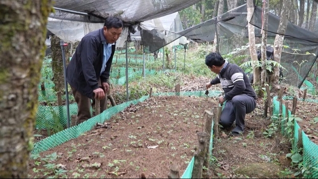 Lai Châu: Nâng cao nhận thức, thống nhất tư tưởng