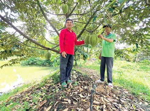 Cần Thơ: Hỗ trợ hợp tác xã nông nghiệp phát triển