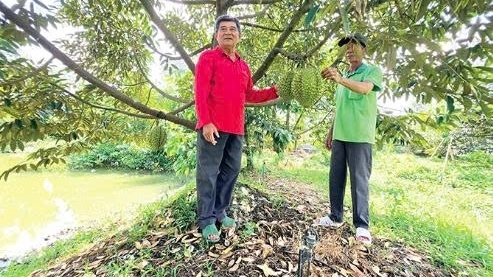 Cần Thơ: Hỗ trợ hợp tác xã nông nghiệp phát triển
