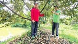 Cần Thơ: Hỗ trợ hợp tác xã nông nghiệp phát triển