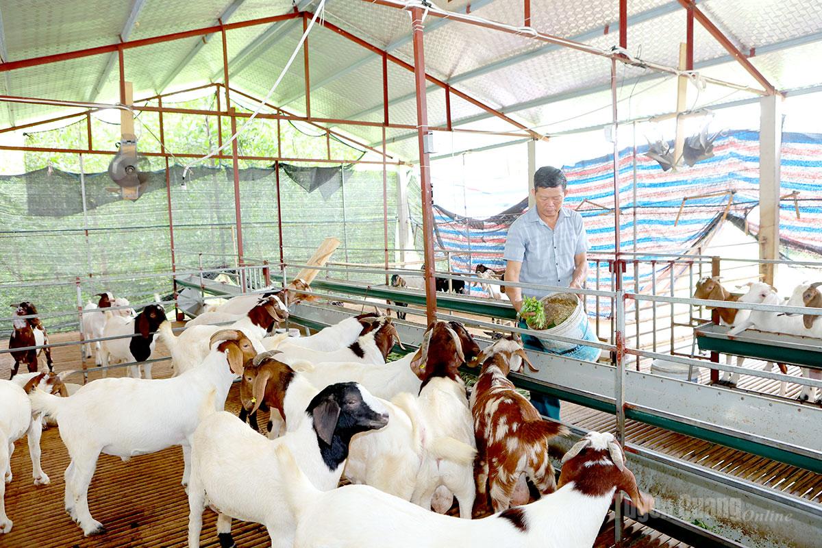 Tuyên Quang: Chuyển dịch tư duy để làm giàu ở Phú Lương