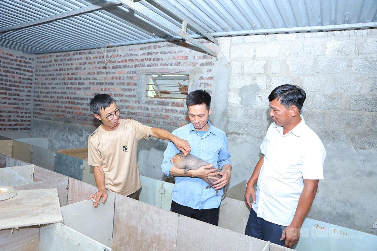 Tuyên Quang: Chuyển dịch tư duy để làm giàu ở Phú Lương