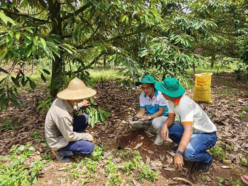 Nửa đầu năm 2026: PVFCCo - Phú Mỹ bứt phá tăng trưởng toàn diện Nửa đầu năm 2026: PVFCCo - Phú Mỹ bứt phá tăng trưởng toàn diện