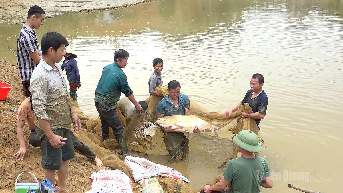 Tuyên Quang: Cú huých tái cơ cấu ngành nông nghiệp