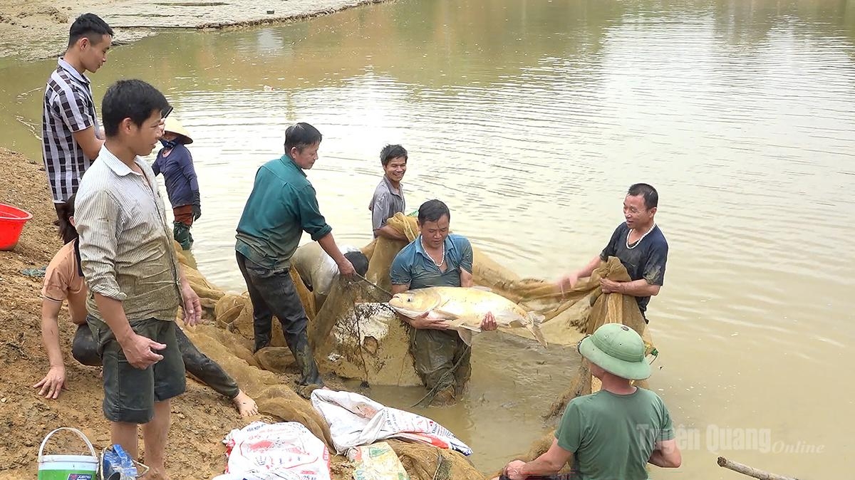 Tuyên Quang: Cú huých tái cơ cấu ngành nông nghiệp