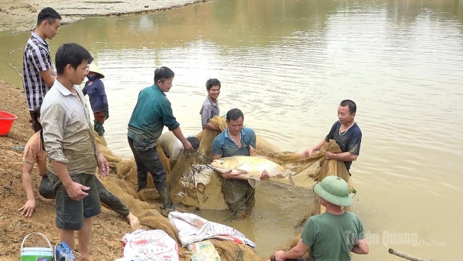 Tuyên Quang: Cú huých tái cơ cấu ngành nông nghiệp