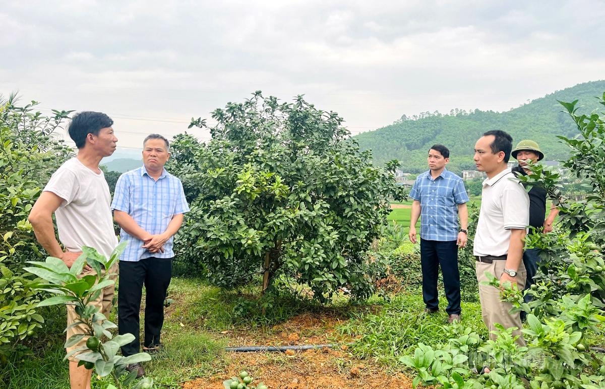 Tuyên Quang: Bình Ca dồn sức thực hiện giảm nghèo bền vững