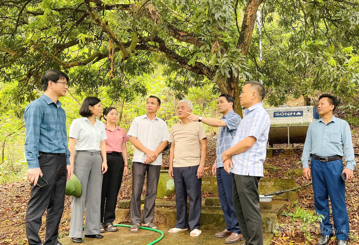 Tuyên Quang: Bình Ca dồn sức thực hiện giảm nghèo bền vững