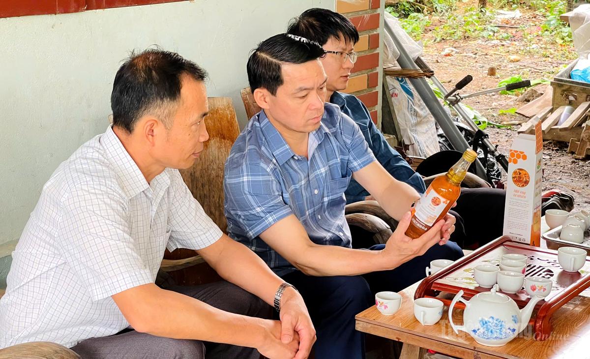 Tuyên Quang: Bình Ca dồn sức thực hiện giảm nghèo bền vững