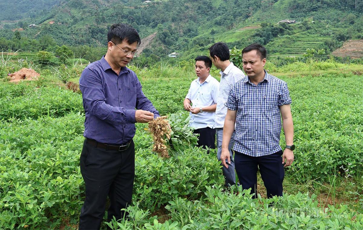 Tuyên Quang: Động lực phát triển kinh tế ở Khuôn Lùng