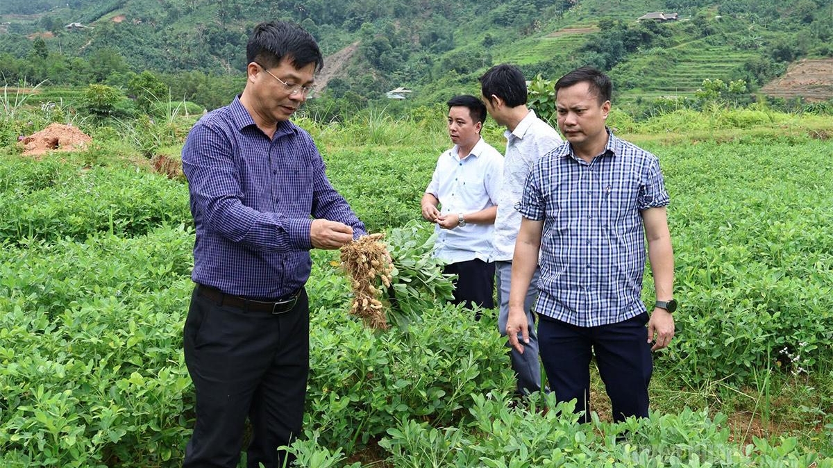 Tuyên Quang: Động lực phát triển kinh tế ở Khuôn Lùng