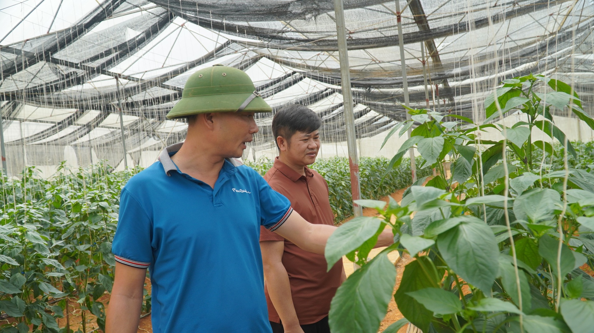 Lai Châu: Tiếp sức cho nông dân