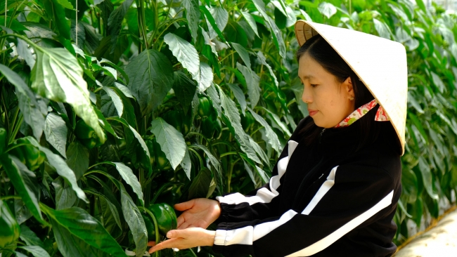 Lâm Đồng: Cùng làm, cùng phát triển
