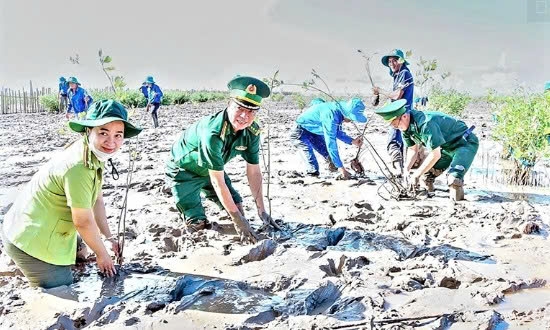 Cần Thơ: Trồng rừng để bảo tồn đa dạng sinh học, thích ứng biến đổi khí hậu