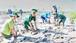 Cần Thơ: Trồng rừng để bảo tồn đa dạng sinh học, thích ứng biến đổi khí hậu