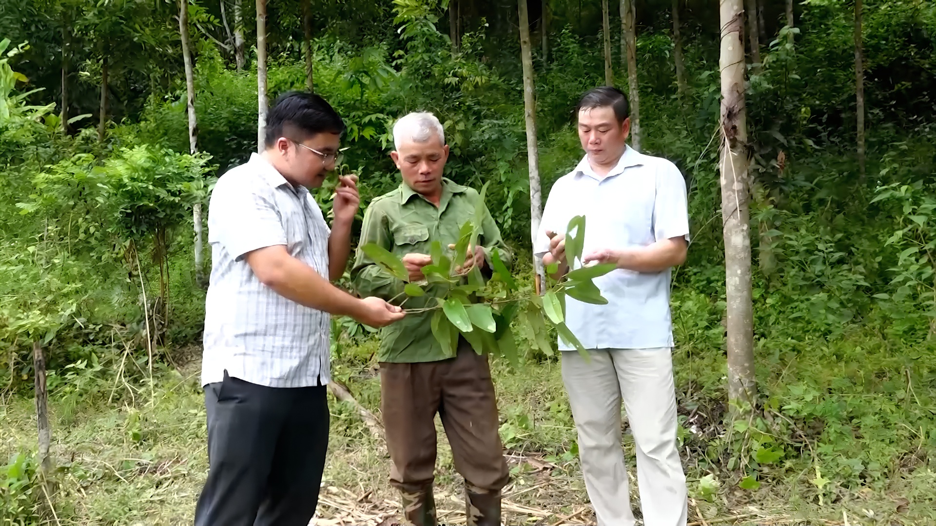 Lai Châu: Dấu ấn cán bộ trẻ ở Mường Mô