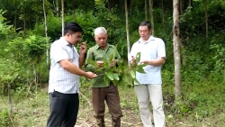 Lai Châu: Dấu ấn cán bộ trẻ ở Mường Mô